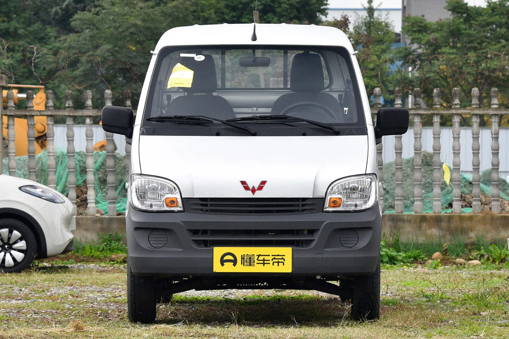 Wuling Zhiguang Mini Truck