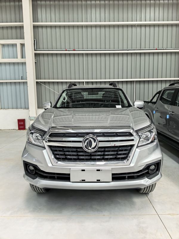 东风 Rich6 4WD 2.4L photo 4